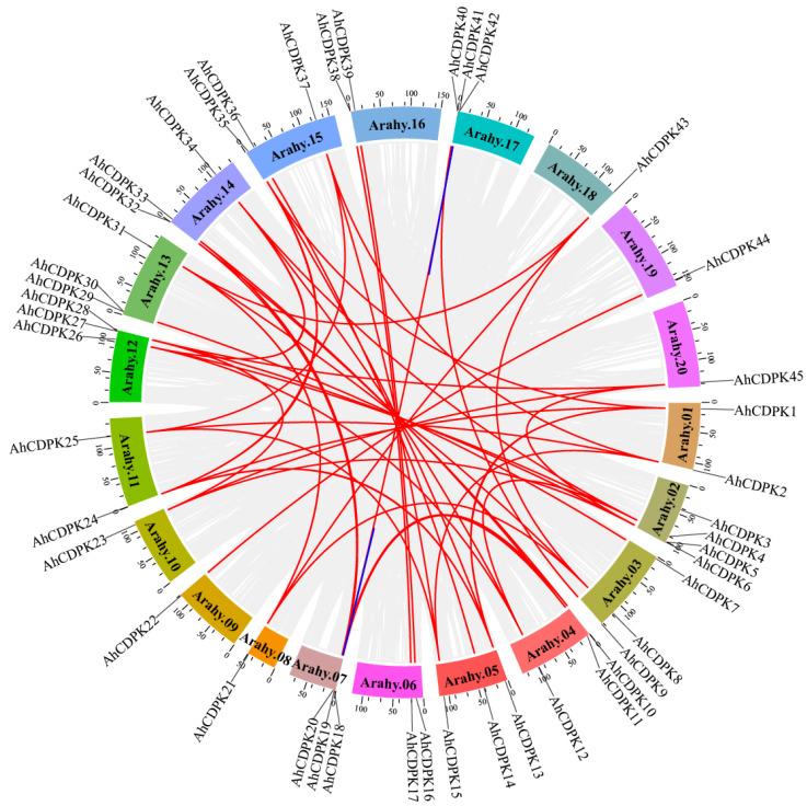 https://cdn.ncbi.nlm.nih.gov/pmc/blobs/3e81/10705679/9e99faf8cc2a/cells-12-02676-g002.jpg