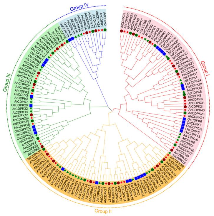 https://cdn.ncbi.nlm.nih.gov/pmc/blobs/3e81/10705679/a1035e39f871/cells-12-02676-g004.jpg