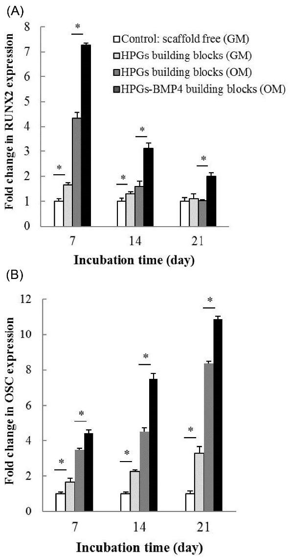 https://cdn.ncbi.nlm.nih.gov/pmc/blobs/3e81/9124872/2091eac0c69d/bi-12-183-g008.jpg