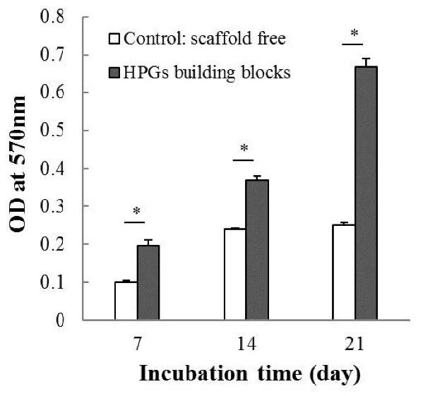 https://cdn.ncbi.nlm.nih.gov/pmc/blobs/3e81/9124872/9c30527009a3/bi-12-183-g005.jpg
