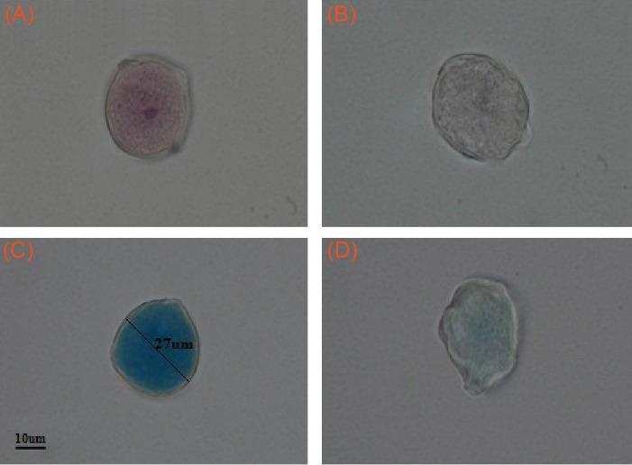https://cdn.ncbi.nlm.nih.gov/pmc/blobs/3e81/9124872/e56e6e15aea4/bi-12-183-g003.jpg