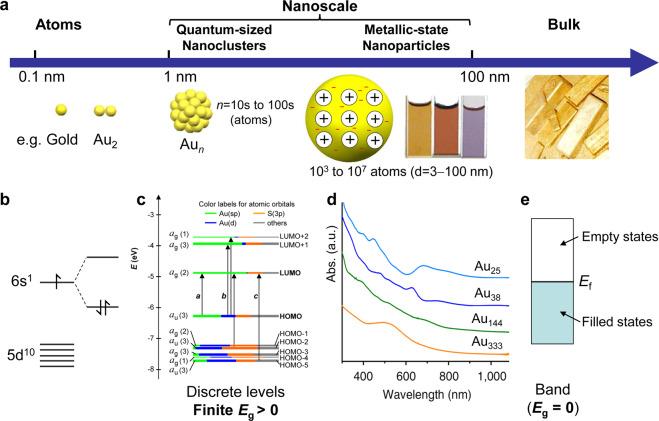 https://cdn.ncbi.nlm.nih.gov/pmc/blobs/3e81/9814084/eb15197f3034/42004_2021_466_Fig1_HTML.jpg