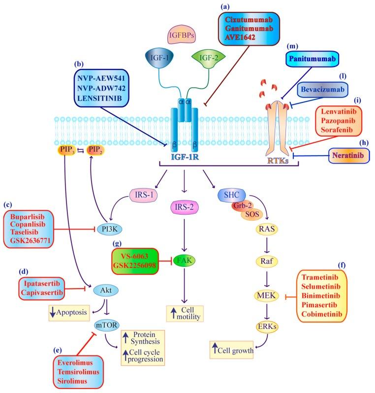 https://cdn.ncbi.nlm.nih.gov/pmc/blobs/3e83/6651760/9b065b9223c2/ijms-20-03258-g003.jpg