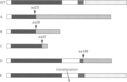 https://cdn.ncbi.nlm.nih.gov/pmc/blobs/3e84/1051454/6a46ecbc2525/jmedgene00239-0019-b.jpg