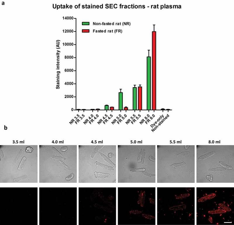 https://cdn.ncbi.nlm.nih.gov/pmc/blobs/3e84/5699187/65955fff044a/ZJEV_A_1388731_F0005_OC.jpg