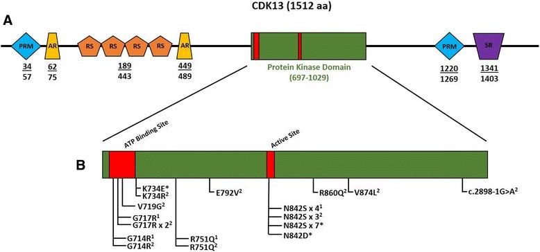 https://cdn.ncbi.nlm.nih.gov/pmc/blobs/3e85/5557075/833b642fa6ff/13073_2017_463_Fig1_HTML.jpg