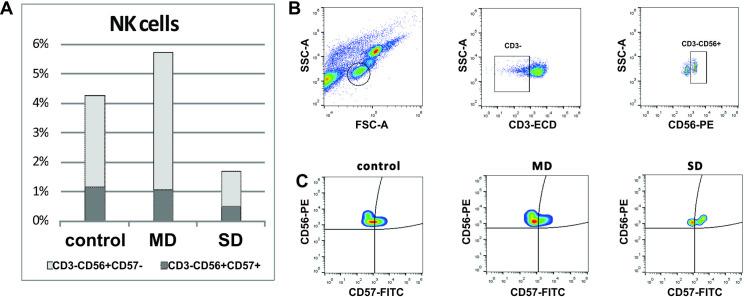 https://cdn.ncbi.nlm.nih.gov/pmc/blobs/3e85/7774986/2107a7294d03/pone.0241097.g001.jpg