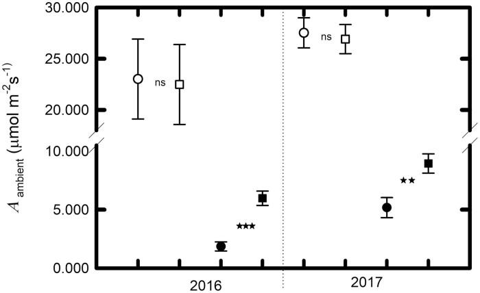 https://cdn.ncbi.nlm.nih.gov/pmc/blobs/3e85/8219039/de45216c64c3/erab176f0004.jpg