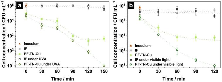 https://cdn.ncbi.nlm.nih.gov/pmc/blobs/3e87/12347451/401d336753ca/ijms-26-07550-g007.jpg