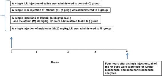 https://cdn.ncbi.nlm.nih.gov/pmc/blobs/3e87/5911370/bb028eff9c7f/12974_2018_1157_Fig1_HTML.jpg