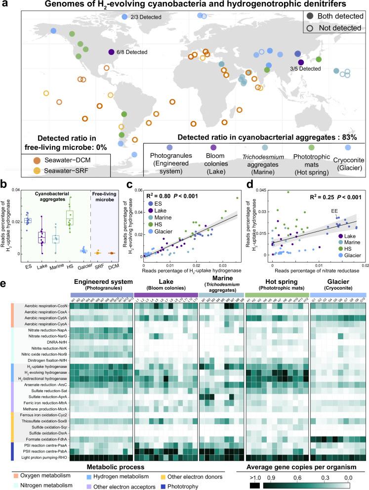 https://cdn.ncbi.nlm.nih.gov/pmc/blobs/3e89/12126579/1296cccbd04a/41467_2025_60327_Fig6_HTML.jpg