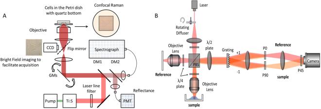 https://cdn.ncbi.nlm.nih.gov/pmc/blobs/3e89/5589874/78bb20d0ffb7/41598_2017_11091_Fig6_HTML.jpg