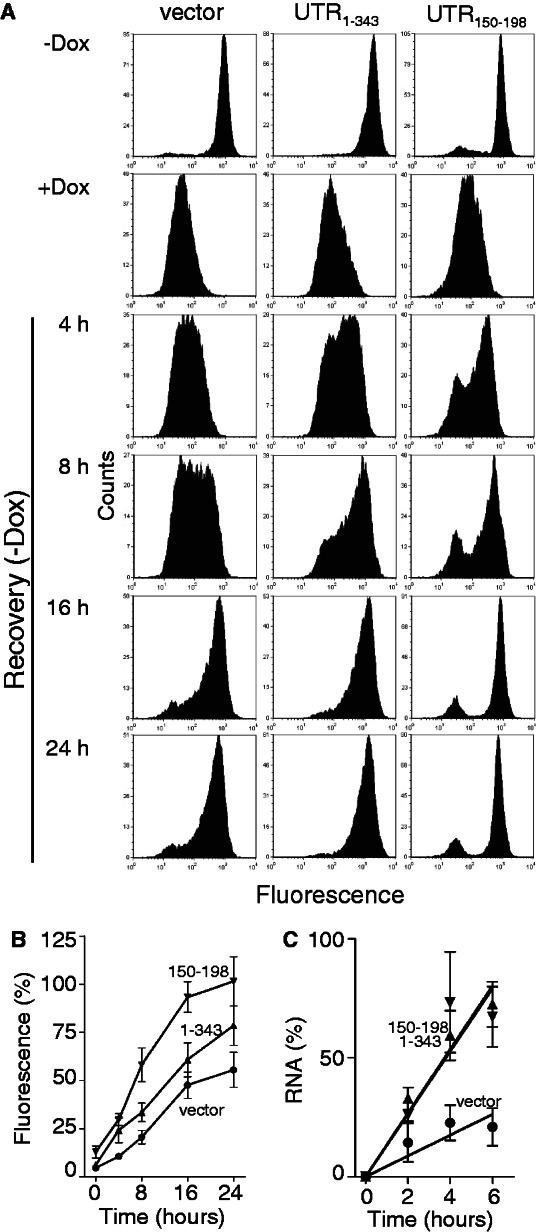 https://cdn.ncbi.nlm.nih.gov/pmc/blobs/3e8a/3675493/003012833d74/gkt279f4p.jpg