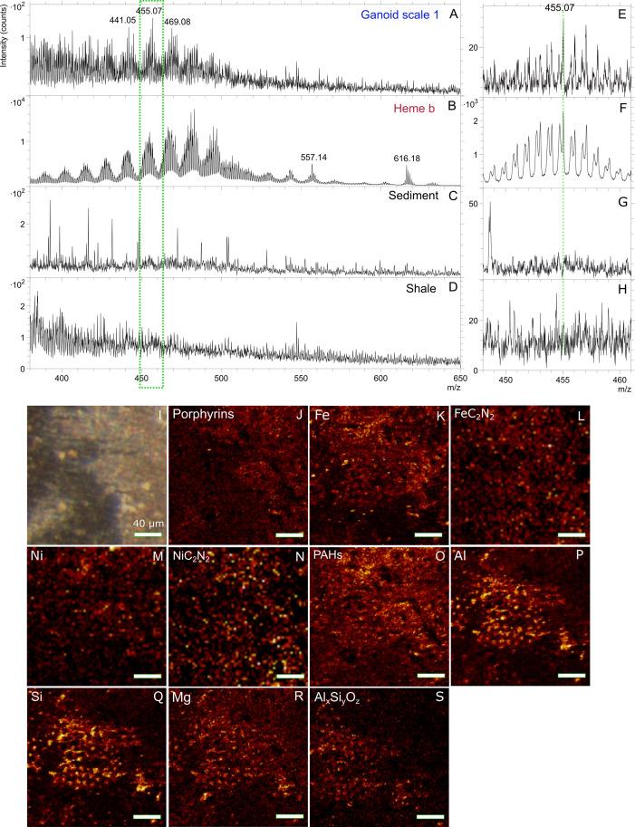 https://cdn.ncbi.nlm.nih.gov/pmc/blobs/3e8a/9242450/e666922d2d47/pone.0269568.g002.jpg