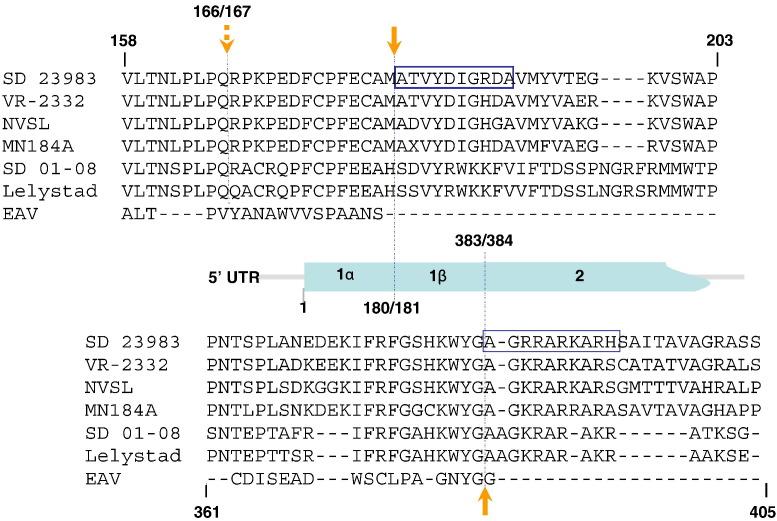 https://cdn.ncbi.nlm.nih.gov/pmc/blobs/3e8c/7111964/574c520bdb80/gr2_lrg.jpg