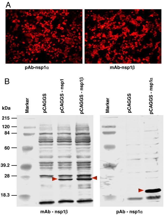 https://cdn.ncbi.nlm.nih.gov/pmc/blobs/3e8c/7111964/e58c010cdf58/gr4_lrg.jpg