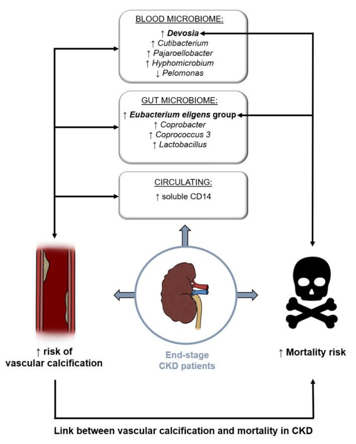 https://cdn.ncbi.nlm.nih.gov/pmc/blobs/3e8c/9313079/f78cc3fb25c1/biomolecules-12-00867-g005.jpg