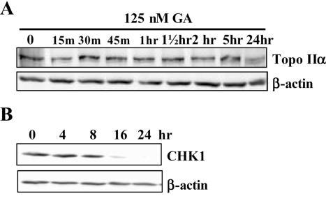 https://cdn.ncbi.nlm.nih.gov/pmc/blobs/3e8d/1373695/2c2ccdacf97e/gkj516f3.jpg