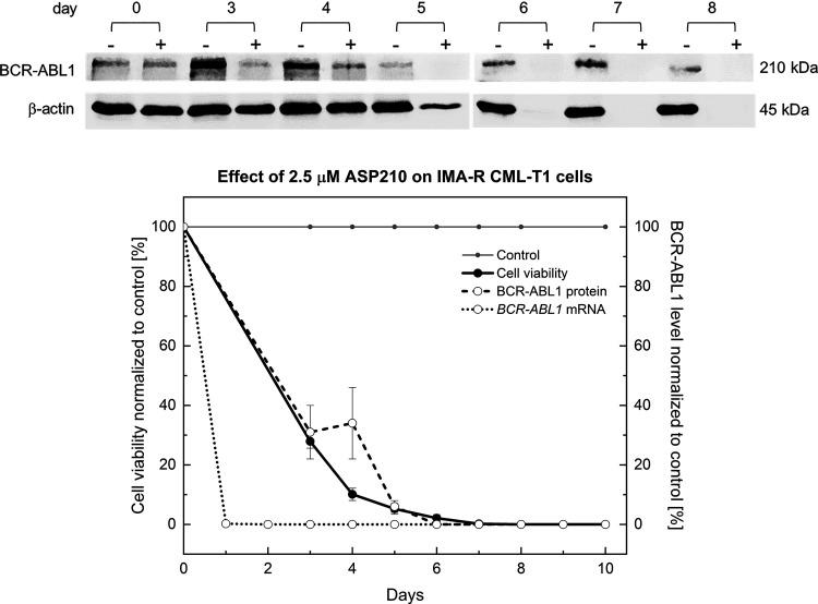 https://cdn.ncbi.nlm.nih.gov/pmc/blobs/3e8e/11371327/80776993a9c8/ajpcell.00188.2024_f005.jpg