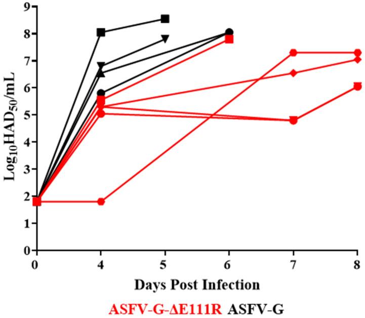 https://cdn.ncbi.nlm.nih.gov/pmc/blobs/3e8e/11437470/fe0e038d2e36/viruses-16-01502-g009.jpg