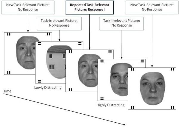 https://cdn.ncbi.nlm.nih.gov/pmc/blobs/3e8e/3851833/c6403788a1cf/1471-2202-14-107-1.jpg