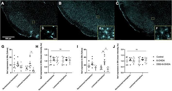 https://cdn.ncbi.nlm.nih.gov/pmc/blobs/3e91/11754928/0a3b12a1c15e/EJN-61-0-g004.jpg