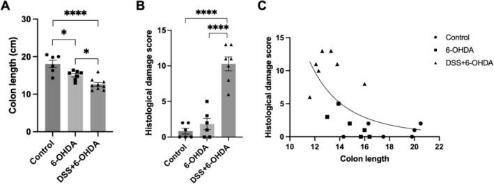 https://cdn.ncbi.nlm.nih.gov/pmc/blobs/3e91/11754928/669d28758de8/EJN-61-0-g009.jpg