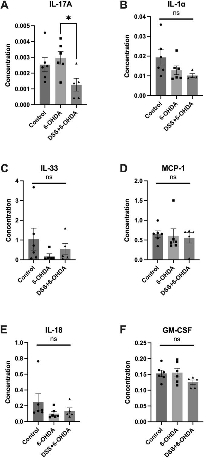 https://cdn.ncbi.nlm.nih.gov/pmc/blobs/3e91/11754928/e19421708d62/EJN-61-0-g007.jpg