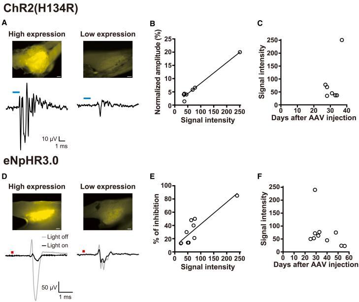 https://cdn.ncbi.nlm.nih.gov/pmc/blobs/3e91/12131270/ec40e6ef76ad/gr4.jpg