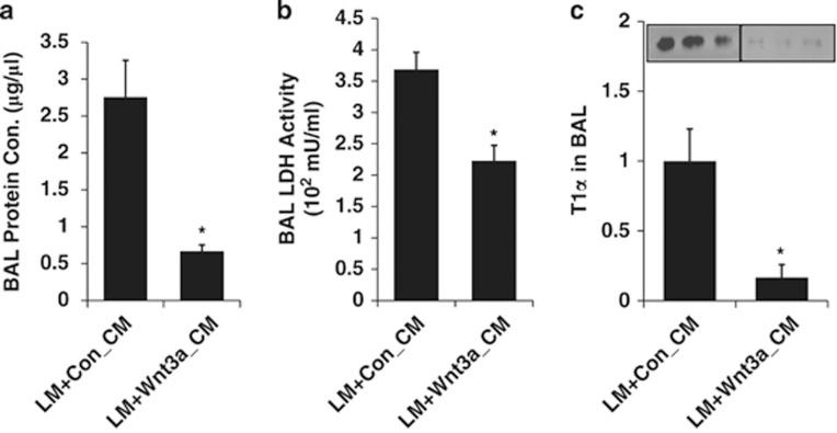 https://cdn.ncbi.nlm.nih.gov/pmc/blobs/3e91/4611727/35e399b4e357/cddis2014254f7.jpg