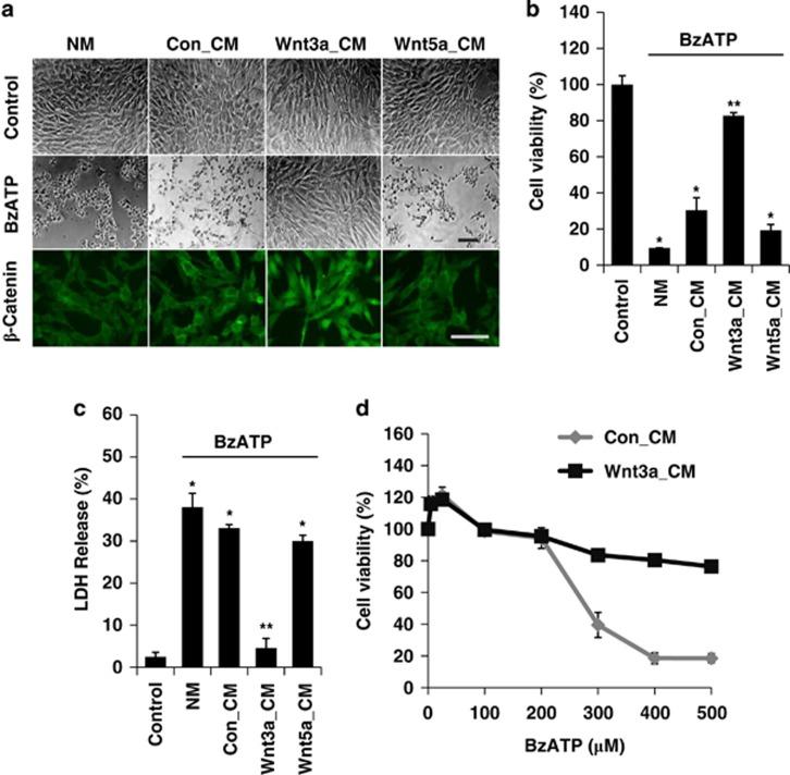 https://cdn.ncbi.nlm.nih.gov/pmc/blobs/3e91/4611727/f1dcb6298faa/cddis2014254f3.jpg