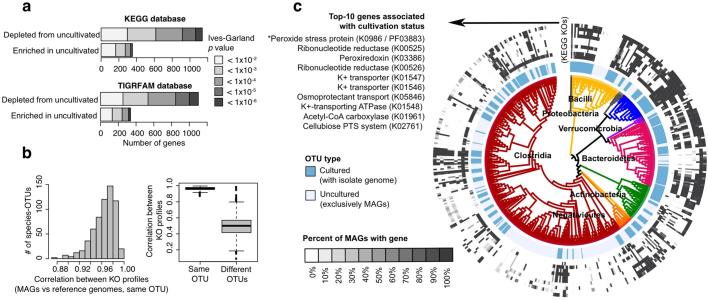 https://cdn.ncbi.nlm.nih.gov/pmc/blobs/3e91/6784871/9a43c782d7dd/41586_2019_1058_Fig14_ESM.jpg