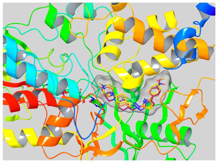 https://cdn.ncbi.nlm.nih.gov/pmc/blobs/3e92/7571065/b76d723a8e18/molecules-25-04342-g003.jpg