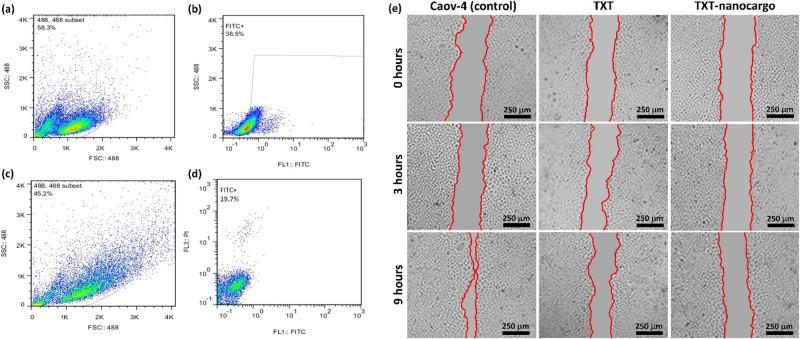 https://cdn.ncbi.nlm.nih.gov/pmc/blobs/3e92/9492675/db8d35e0c977/42003_2022_3966_Fig5_HTML.jpg
