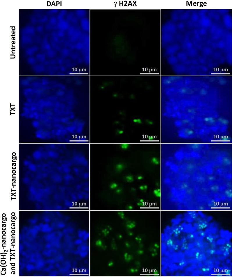https://cdn.ncbi.nlm.nih.gov/pmc/blobs/3e92/9492675/e62795b34a5c/42003_2022_3966_Fig8_HTML.jpg