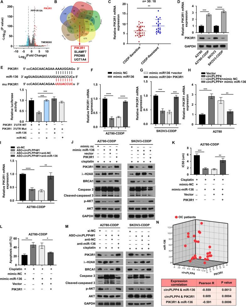 https://cdn.ncbi.nlm.nih.gov/pmc/blobs/3e93/10770956/2c522874b546/12943_2023_1917_Fig4_HTML.jpg