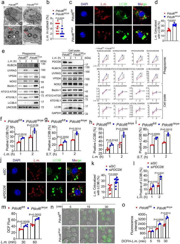 https://cdn.ncbi.nlm.nih.gov/pmc/blobs/3e93/11584876/6193c4378a36/41467_2024_54377_Fig3_HTML.jpg