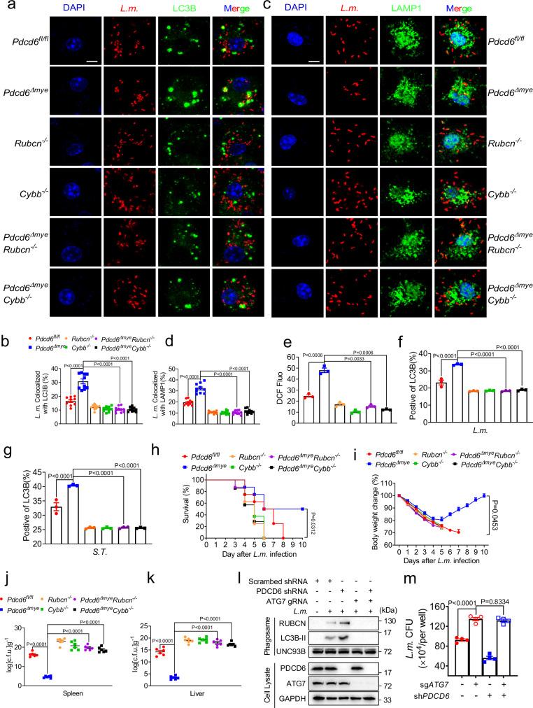 https://cdn.ncbi.nlm.nih.gov/pmc/blobs/3e93/11584876/b272ac720390/41467_2024_54377_Fig4_HTML.jpg