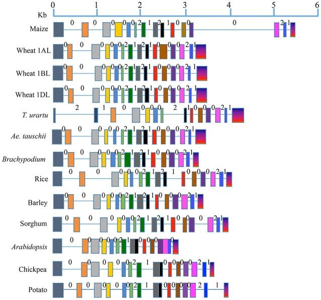 https://cdn.ncbi.nlm.nih.gov/pmc/blobs/3e93/5259687/11636ef7be3b/fpls-08-00019-g0001.jpg