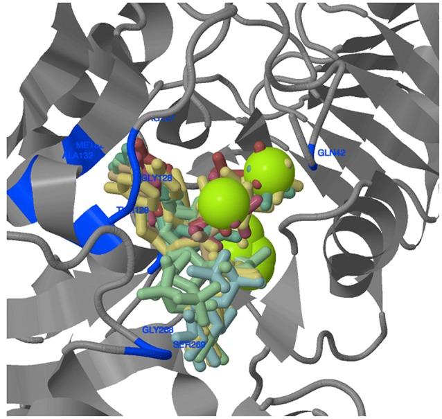 https://cdn.ncbi.nlm.nih.gov/pmc/blobs/3e93/5259687/477443f1ce06/fpls-08-00019-g0008.jpg