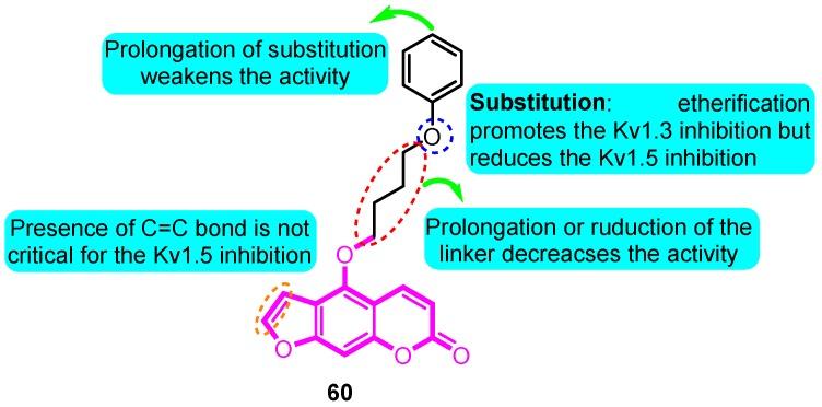 https://cdn.ncbi.nlm.nih.gov/pmc/blobs/3e94/7022446/851b5422710e/biomolecules-10-00010-g005.jpg