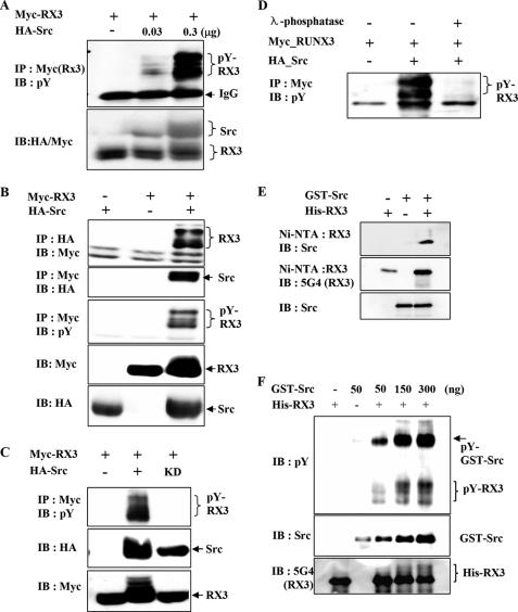 https://cdn.ncbi.nlm.nih.gov/pmc/blobs/3e95/2843174/0b7d8f548c8d/zbc0161010630002.jpg