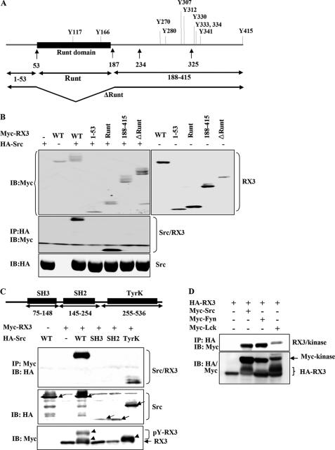 https://cdn.ncbi.nlm.nih.gov/pmc/blobs/3e95/2843174/7036e863960f/zbc0161010630003.jpg