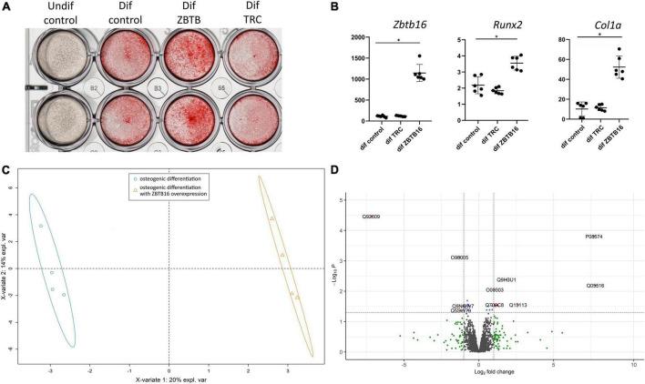 https://cdn.ncbi.nlm.nih.gov/pmc/blobs/3e95/9669078/347d7c3bf0e5/fcvm-09-1043165-g006.jpg