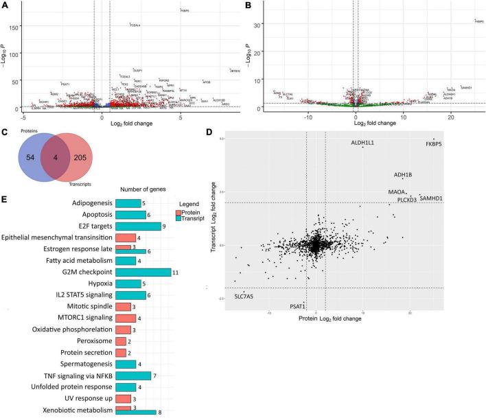 https://cdn.ncbi.nlm.nih.gov/pmc/blobs/3e95/9669078/82ed97bd16bb/fcvm-09-1043165-g002.jpg