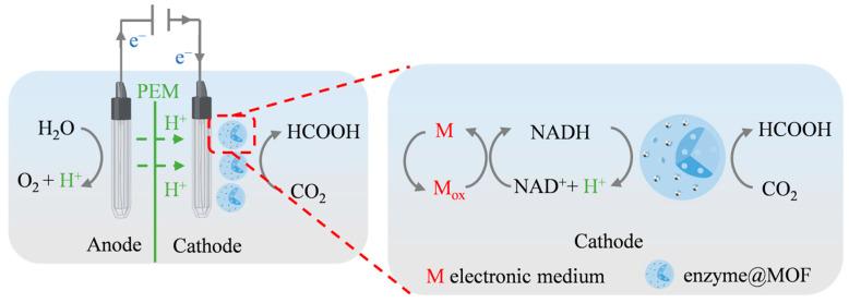 https://cdn.ncbi.nlm.nih.gov/pmc/blobs/3e97/11767415/413006acec1b/molecules-30-00251-g005.jpg
