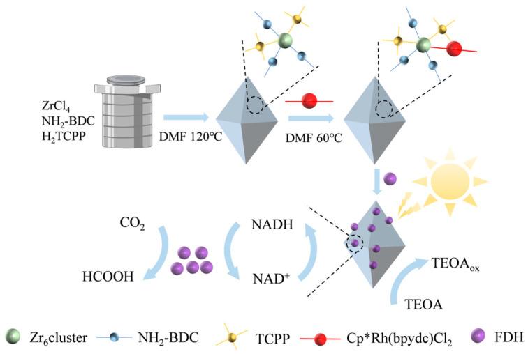 https://cdn.ncbi.nlm.nih.gov/pmc/blobs/3e97/11767415/da86d7aa2dfc/molecules-30-00251-g006.jpg