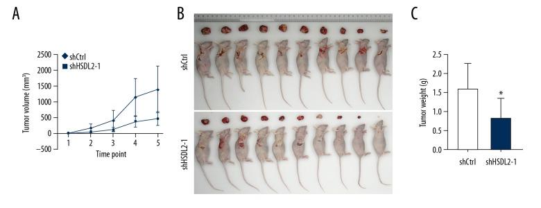 https://cdn.ncbi.nlm.nih.gov/pmc/blobs/3e99/6029517/69735f9352ef/medscimonit-24-3997-g008.jpg