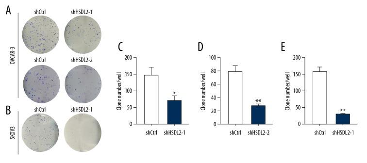 https://cdn.ncbi.nlm.nih.gov/pmc/blobs/3e99/6029517/90e2d2ce2f2c/medscimonit-24-3997-g006.jpg