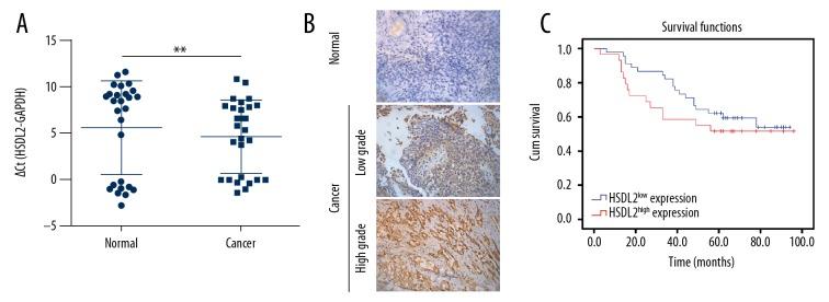 https://cdn.ncbi.nlm.nih.gov/pmc/blobs/3e99/6029517/93cc43ae12fe/medscimonit-24-3997-g001.jpg